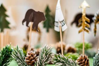 20 Cake Topper – Into the wild