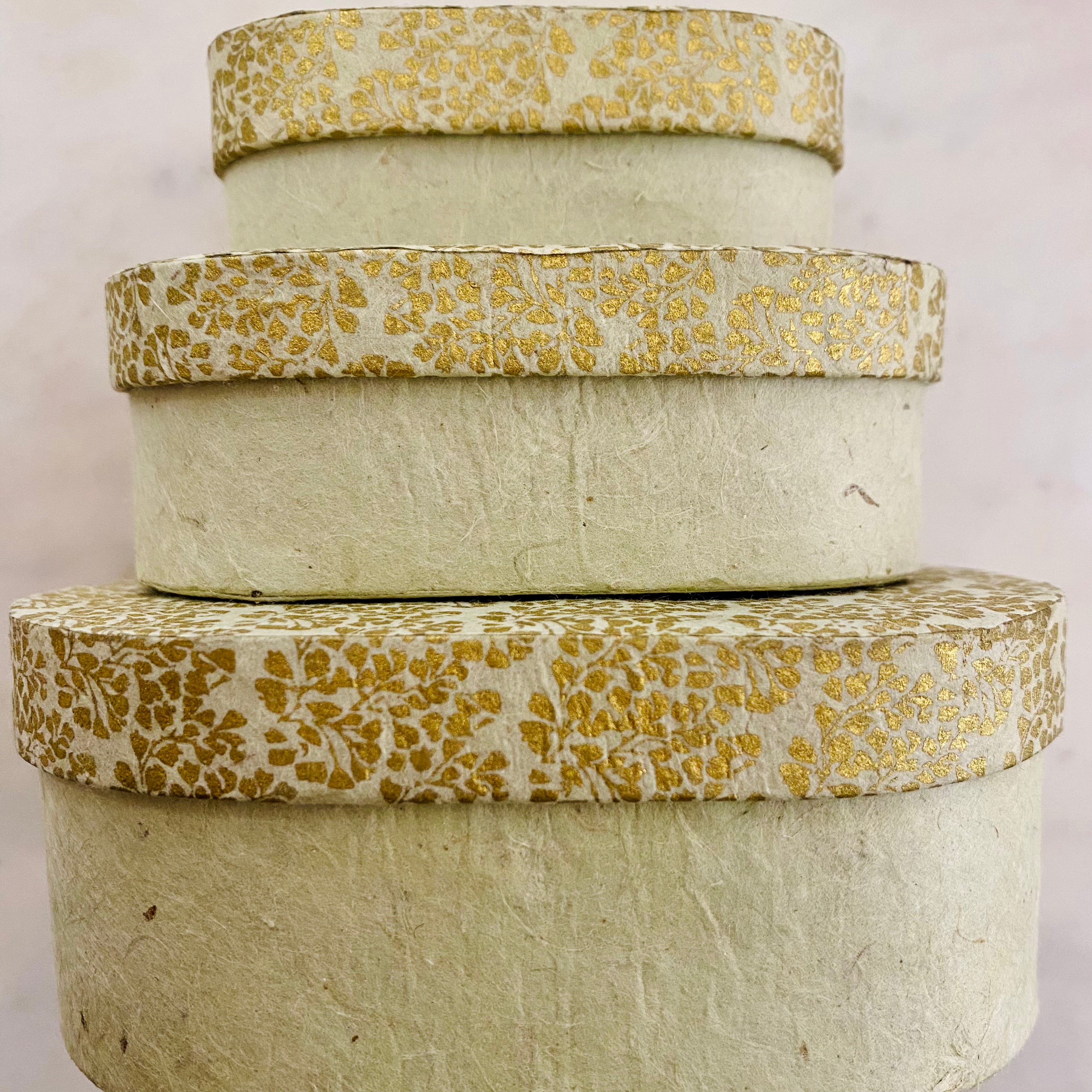 1 Box oval Mint/ Gold