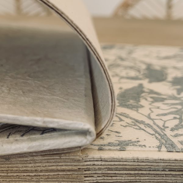 1 Album Acanthus Brokat