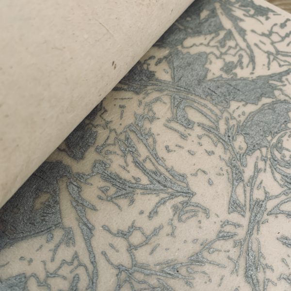 1 Album Acanthus Brokat