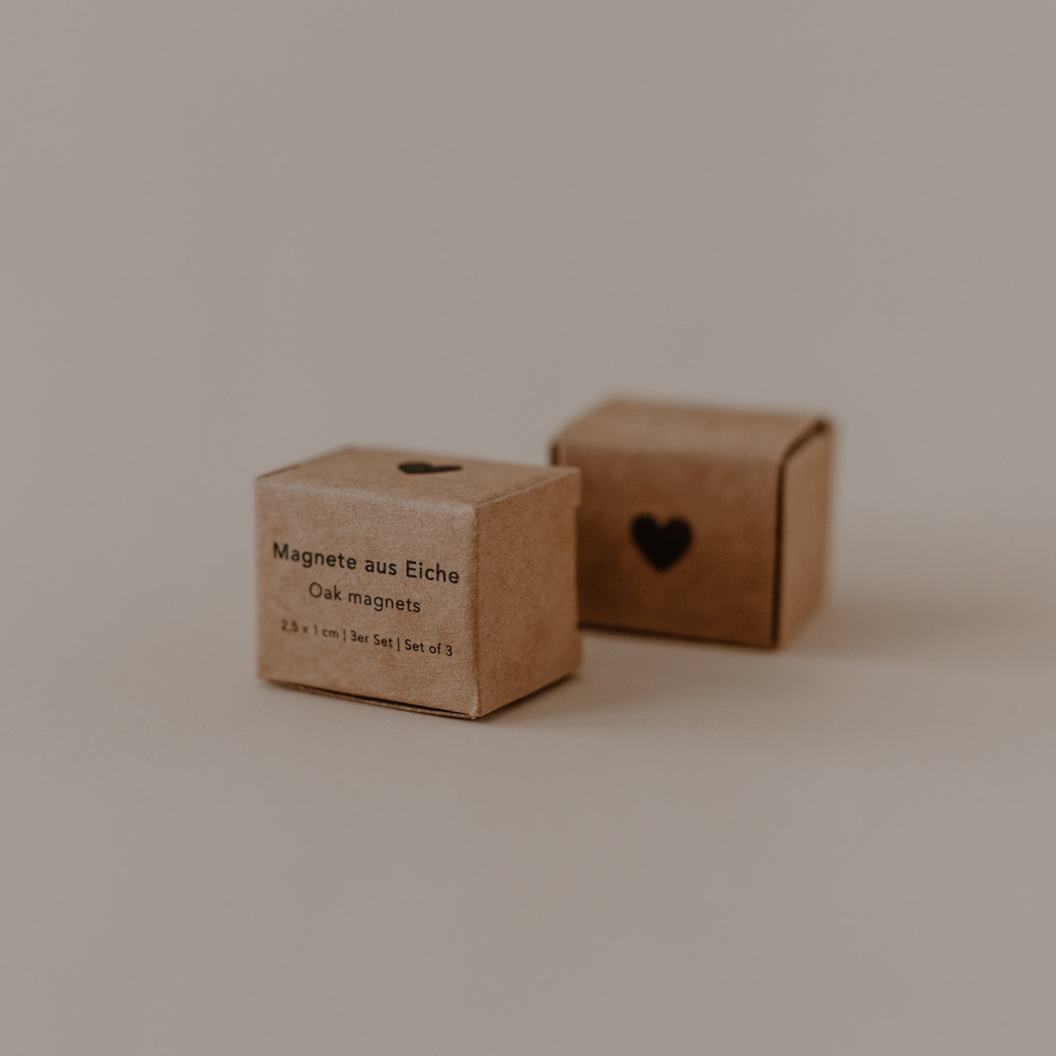 3er Set Holzmagnete Daisy